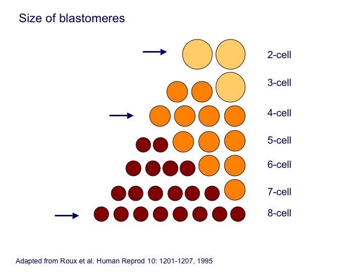 Diapositive22.jpg